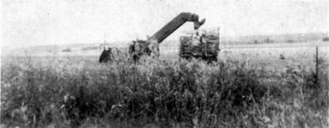 SHOCK LOADERS Image